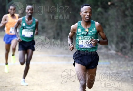 Campeonato de España de Campo a Través por Clubes (Santiponce) 2024