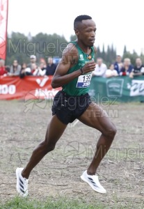 Campeonato de España de Campo a Través por Clubes (Santiponce) 2024