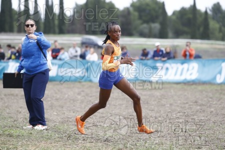 Campeonato de España de Campo a Través por Clubes (Santiponce) 2024