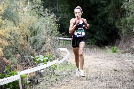 Campeonato de España de Campo a Través por Clubes (Santiponce) 2024