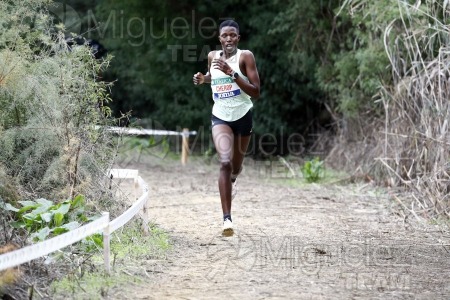 Campeonato de España de Campo a Través por Clubes (Santiponce) 2024