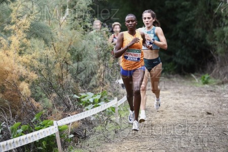 Campeonato de España de Campo a Través por Clubes (Santiponce) 2024