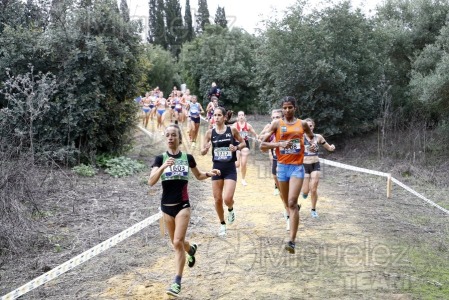 Campeonato de España de Campo a Través por Clubes (Santiponce) 2024