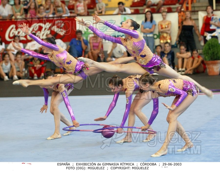 Campeonato de España individual, celebrado en CÓRDOBA, los días 27, 28 y 29 de junio de 2003.