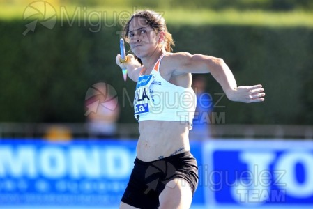 ATLETISMO: 33 Meeting de Madrid (Moratalaz) 2015.