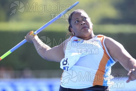 ATLETISMO: 33 Meeting de Madrid (Moratalaz) 2015.
