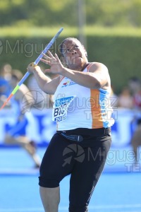 ATLETISMO: 33 Meeting de Madrid (Moratalaz) 2015.