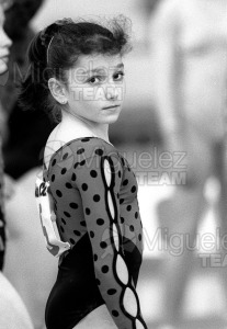 Torneo clasificatorio para el Mundial de gimnasia Artistica (Vitoria) 1989.