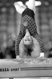 Torneo clasificatorio para el Mundial de gimnasia Artistica (Vitoria) 1989.