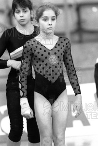 Torneo clasificatorio para el Mundial de gimnasia Artistica (Vitoria) 1989.