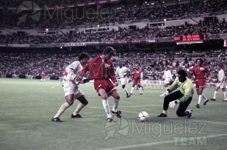 Partido Mundíal contra el RACISMO celebrado en el estadio Santiago Bernabéu de Madrid. 1997