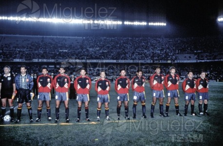 Encuentro Internacional entre ESPAÑA-DINAMARCA en el Campo del Sevilla, RAMÓN SÁNCHEZ PIZJUÁN. 1994. 