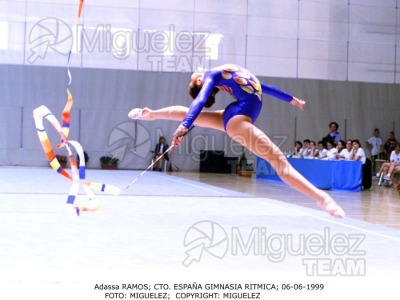Campeonato de España Absoluto de Gimnasia Rítmica celebrado en Leganés (Madrid). 1999. 