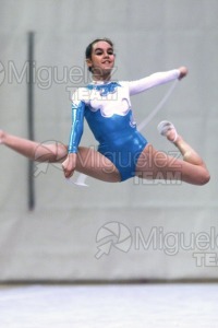 Campeonato de España Absoluto de Gimnasia Rítmica celebrado en Leganés (Madrid). 1999. 