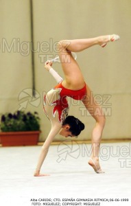 Campeonato de España Absoluto de Gimnasia Rítmica celebrado en Leganés (Madrid). 1999. 