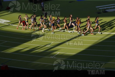 Campeonato de Europa de Atletismo por equipos, Primera División (Madrid) 2025. 