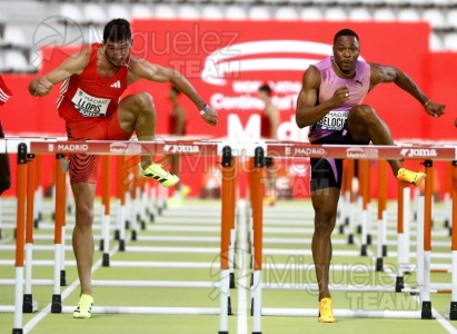 World Athletics Continental Tour Silver Madrid (MADRID) 2025.