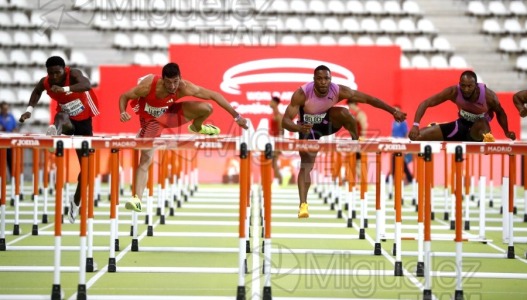 World Athletics Continental Tour Silver Madrid (MADRID) 2025.