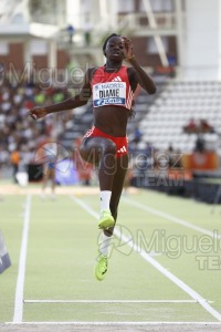 World Athletics Continental Tour Silver Madrid (MADRID) 2025.