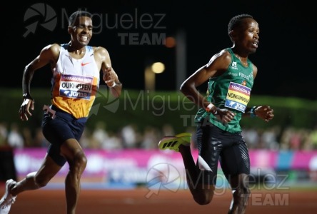 Campeonato de España Absoluto de Atletismo al Aire Libre / Long Track (Tarragona) 2025.