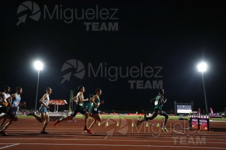 Campeonato de España Absoluto de Atletismo al Aire Libre / Long Track (Tarragona) 2025.
