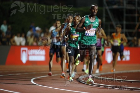 Campeonato de España Absoluto de Atletismo al Aire Libre / Long Track (Tarragona) 2025.