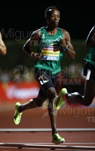 Campeonato de España Absoluto de Atletismo al Aire Libre / Long Track (Tarragona) 2025.