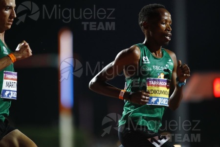 Campeonato de España Absoluto de Atletismo al Aire Libre / Long Track (Tarragona) 2025.