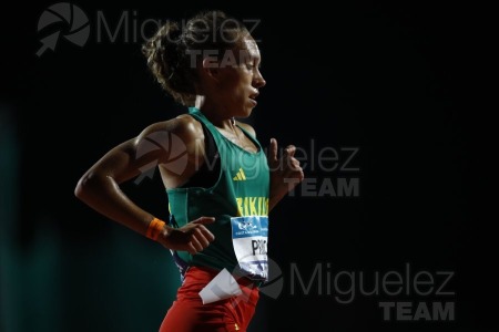 Campeonato de España Absoluto de Atletismo al Aire Libre / Long Track (Tarragona) 2025.