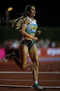 Campeonato de España Absoluto de Atletismo al Aire Libre / Long Track (Tarragona) 2025.