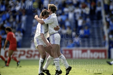 Partido de Liga Primera División Real Madrid-Sevilla Temporada 1988-1989.