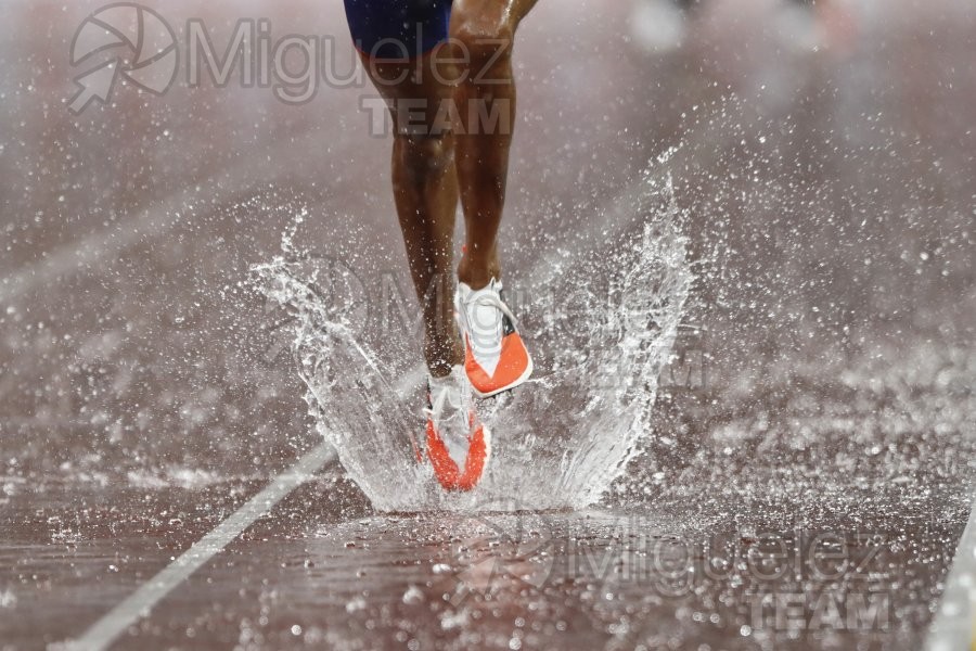 Campeonato del Mundo de Atletismo Absoluto al Aire Libre en (Tokio) 2025.