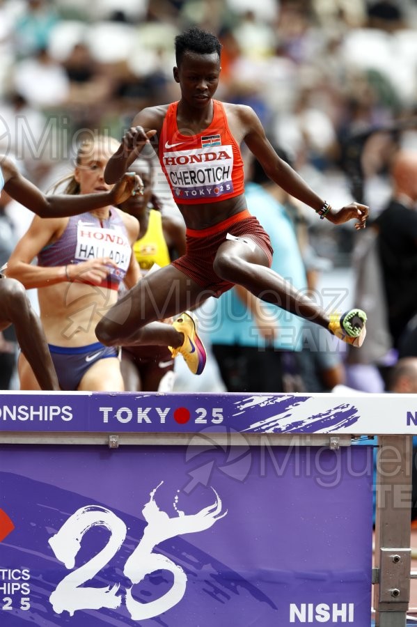 Campeonato del Mundo de Atletismo Absoluto al Aire Libre en (Tokio) 2025.