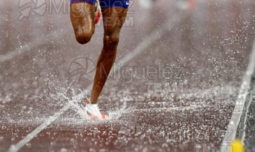 Campeonato del Mundo de Atletismo Absoluto al Aire Libre en (Tokio) 2025.