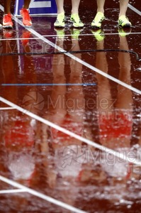 Campeonato del Mundo de Atletismo Absoluto al Aire Libre en (Tokio) 2025.