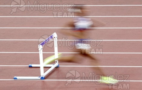 Campeonato del Mundo de Atletismo Absoluto al Aire Libre en (Tokio) 2025.