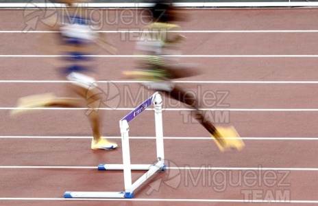 Campeonato del Mundo de Atletismo Absoluto al Aire Libre en (Tokio) 2025.