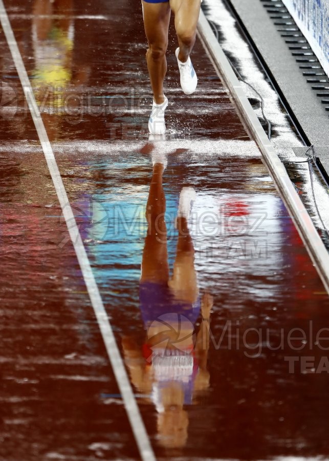 Campeonato del Mundo de Atletismo Absoluto al Aire Libre en (Tokio) 2025.