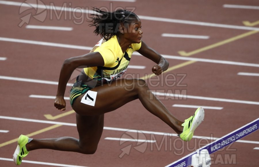 Campeonato del Mundo de Atletismo Absoluto al Aire Libre en (Tokio) 2025.