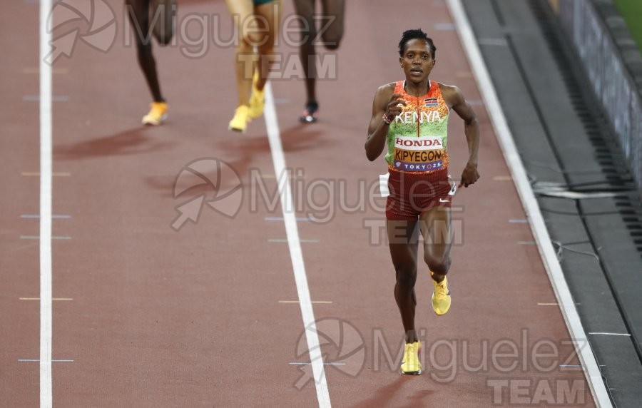 Campeonato del Mundo de Atletismo Absoluto al Aire Libre en (Tokio) 2025.