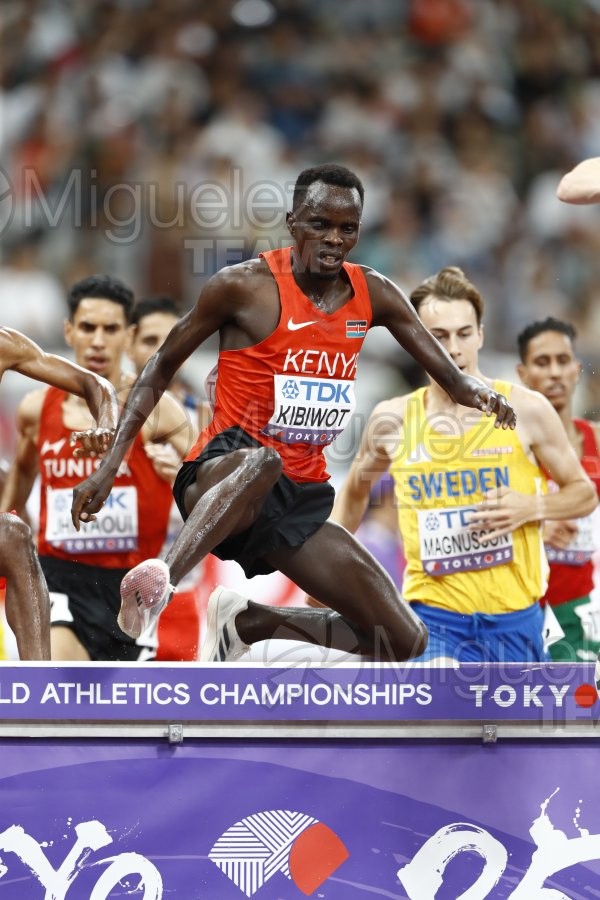 Campeonato del Mundo de Atletismo Absoluto al Aire Libre en (Tokio) 2025.