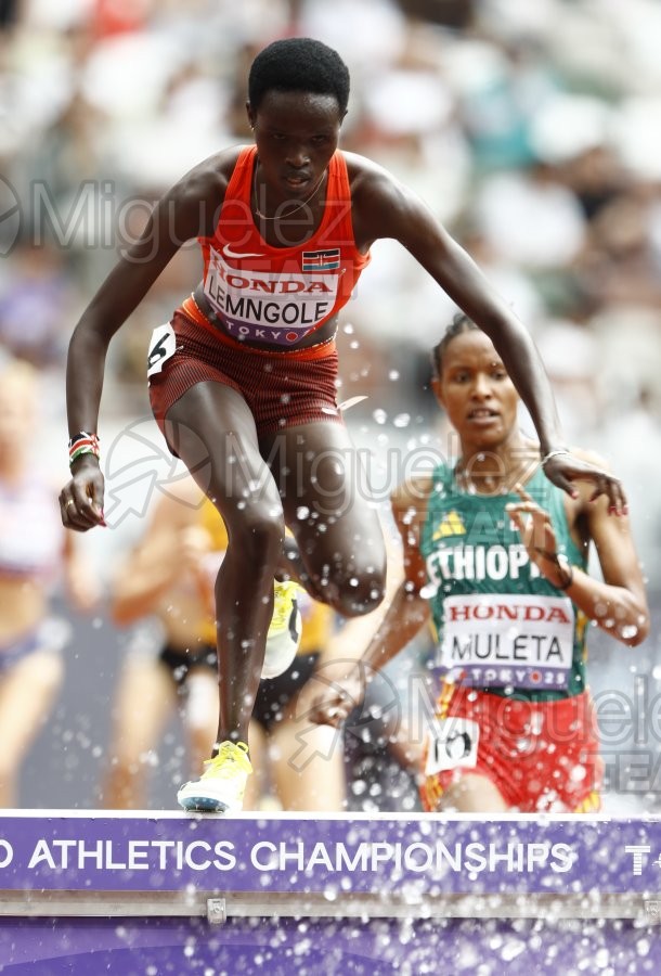 Campeonato del Mundo de Atletismo Absoluto al Aire Libre en (Tokio) 2025.