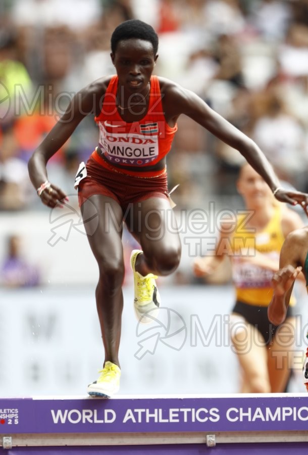 Campeonato del Mundo de Atletismo Absoluto al Aire Libre en (Tokio) 2025.