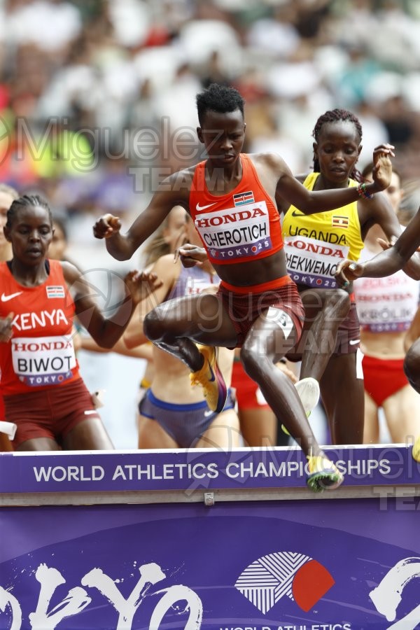 Campeonato del Mundo de Atletismo Absoluto al Aire Libre en (Tokio) 2025.