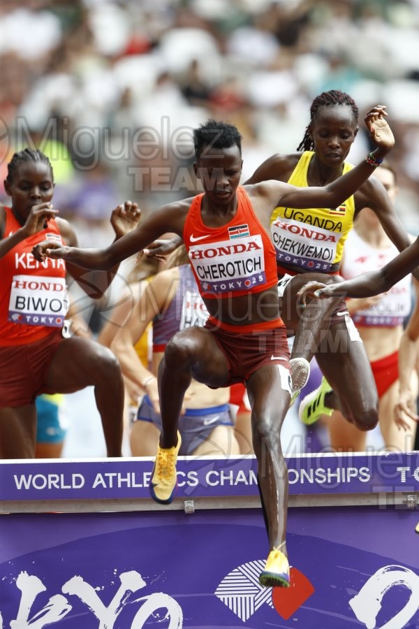 Campeonato del Mundo de Atletismo Absoluto al Aire Libre en (Tokio) 2025.