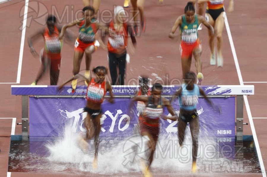 Campeonato del Mundo de Atletismo Absoluto al Aire Libre en (Tokio) 2025.