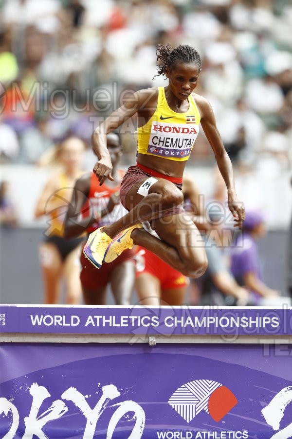 Campeonato del Mundo de Atletismo Absoluto al Aire Libre en (Tokio) 2025.