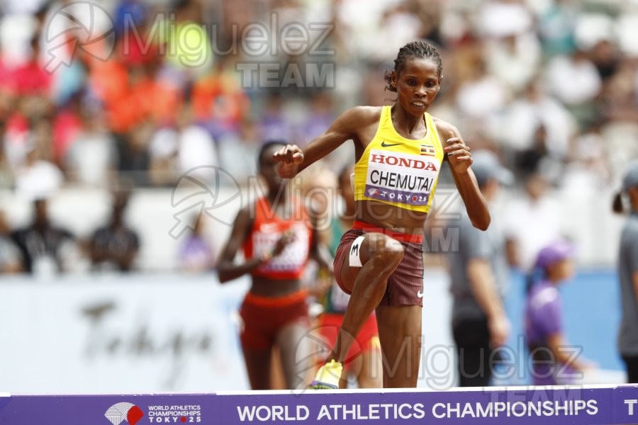 Campeonato del Mundo de Atletismo Absoluto al Aire Libre en (Tokio) 2025.