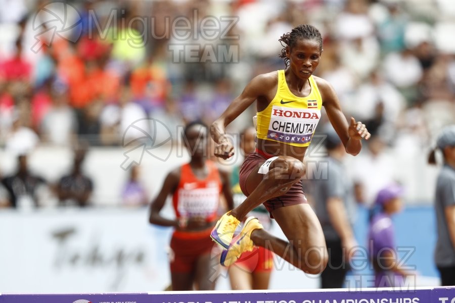 Campeonato del Mundo de Atletismo Absoluto al Aire Libre en (Tokio) 2025.