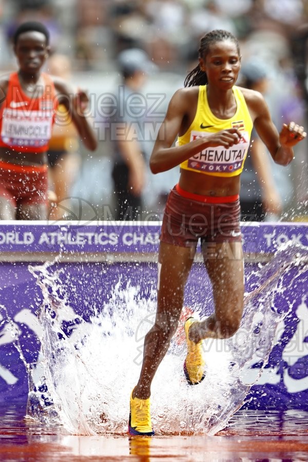 Campeonato del Mundo de Atletismo Absoluto al Aire Libre en (Tokio) 2025.